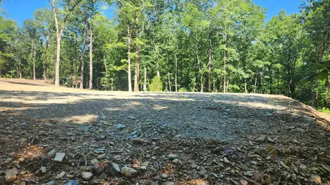 tbd Hickory Hill Ln, Mount Ida, AR 71957 photo 6
