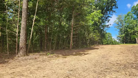 tbd Hickory Hill Ln, Mount Ida, AR 71957 photo 38