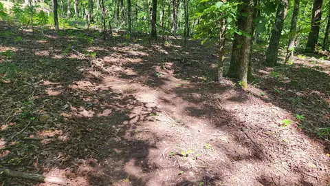 tbd Hickory Hill Ln, Mount Ida, AR 71957 photo 10