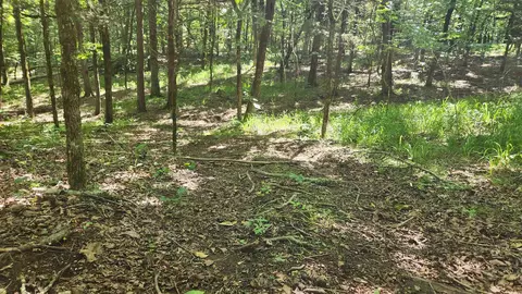 tbd Hickory Hill Ln, Mount Ida, AR 71957 photo 12