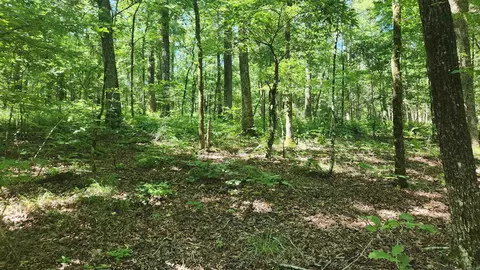 tbd Hickory Hill Ln, Mount Ida, AR 71957 photo 29