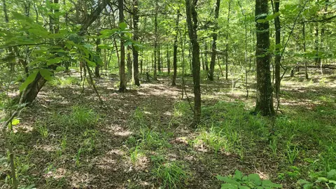 tbd Hickory Hill Ln, Mount Ida, AR 71957 photo 14