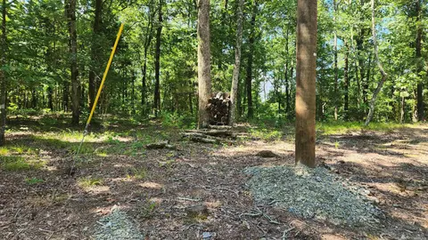 tbd Hickory Hill Ln, Mount Ida, AR 71957 photo 36