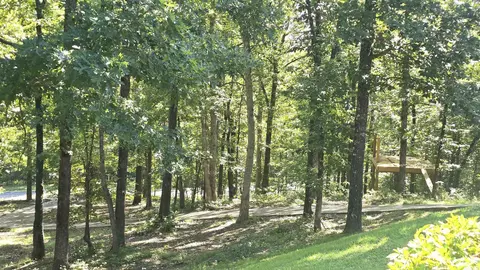 Other - 174 Bald Eagle Dr, Paron, AR 72122 photo 7 of 7