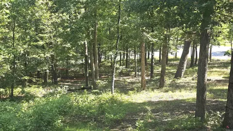 Exterior - 174 Bald Eagle Dr, Paron, AR 72122 photo 6 of 7