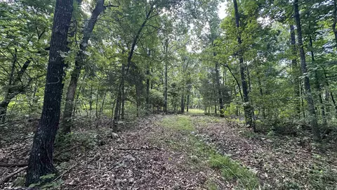 000 E Campground Rd, Ash Flat, AR 72513 photo 3