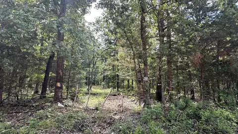 000 E Campground Rd, Ash Flat, AR 72513 photo 2