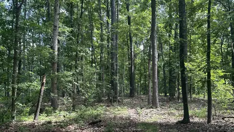 000 E Campground Rd, Ash Flat, AR 72513 photo 5