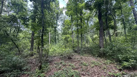 000 E Campground Rd, Ash Flat, AR 72513 photo 11