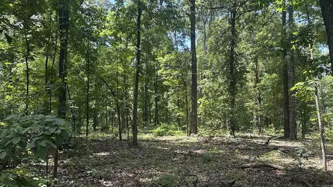 000 E Campground Rd, Ash Flat, AR 72513 photo 8
