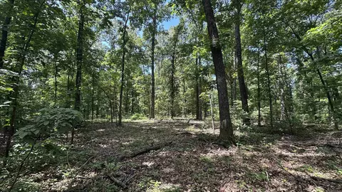 000 E Campground Rd, Ash Flat, AR 72513 photo 9