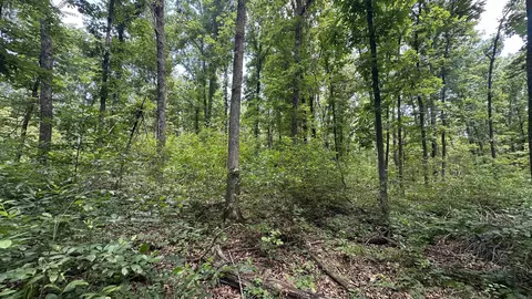 000 E Campground Rd, Ash Flat, AR 72513 photo 10