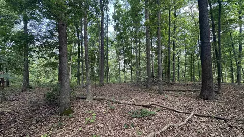 000 E Campground Rd, Ash Flat, AR 72513 photo 6
