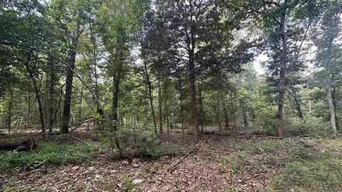000 E Campground Rd, Ash Flat, AR 72513 photo 12
