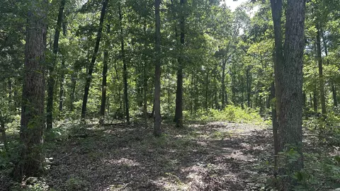 000 E Campground Rd, Ash Flat, AR 72513 photo 7