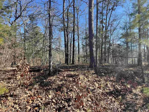 3 Borbollon Cir, Hot Springs Village, AR 71909