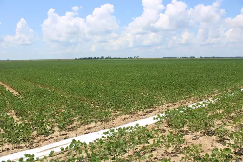 000 Phillips County 470, Marvell, AR 72366