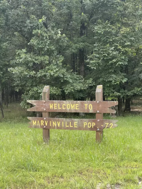 00 Apache Rd, Edgemont, AR 72044 photo 6