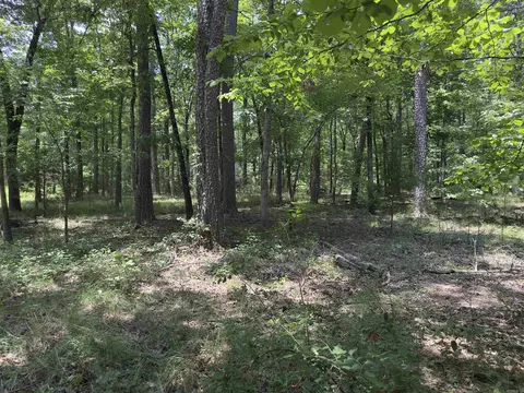 00 Apache Rd, Edgemont, AR 72044 photo 5