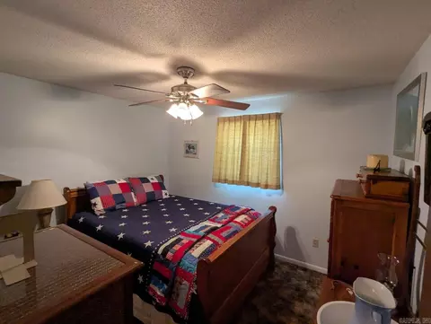 100 Osage, Edgemont, AR 72044 photo 17