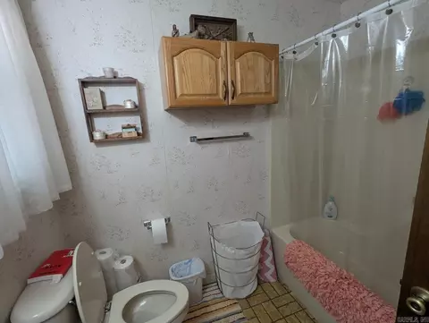 100 Osage, Edgemont, AR 72044 photo 14