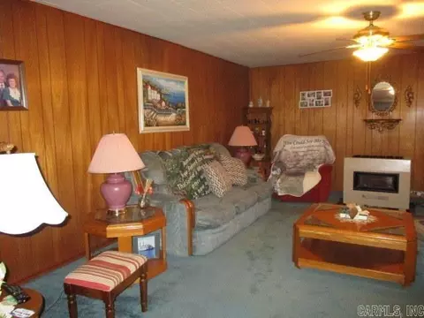 316 Bellvue St, Steele, MO 63877 photo 3