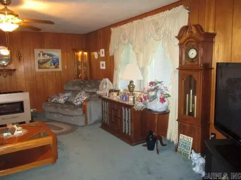 316 Bellvue St, Steele, MO 63877 photo 4