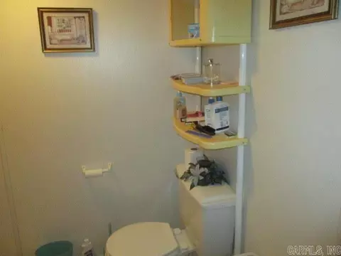 316 Bellvue St, Steele, MO 63877 photo 14
