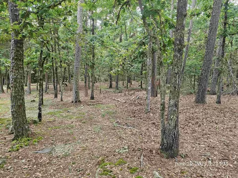 23 Fastota Ln, Hot Springs Village, AR 71909
