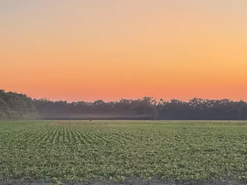 00 Copeland Rd, Crawfordsville, AR 72327