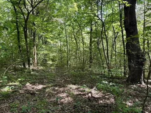 3668 Lafferty Rd, Mount Pleasant, AR 72561 photo 20