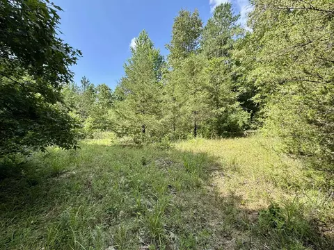 3668 Lafferty Rd, Mount Pleasant, AR 72561 photo 22