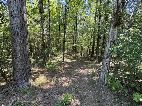 1 Waterside Drive, Conway, AR 72032 photo 25