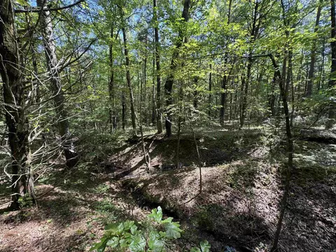 1 Waterside Drive, Conway, AR 72032 photo 39
