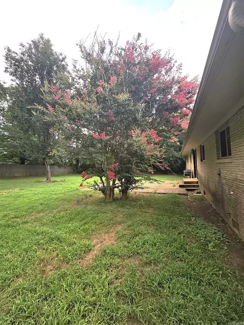 1209 Cole Ave, Mena, AR 71953 photo 8