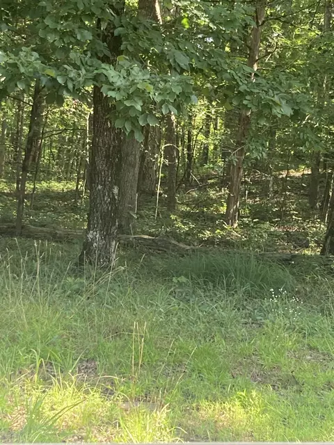 lot114 Block12 Woodlawn Dr, Fairfield Bay, AR 72088