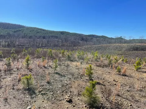 tbd Weyco Rd, Hatton, AR 71937 photo 4