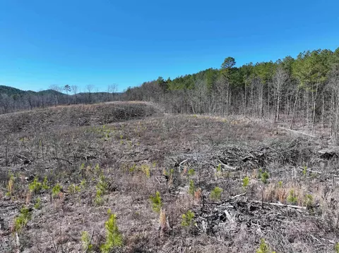 tbd Weyco Rd, Hatton, AR 71937 photo 20