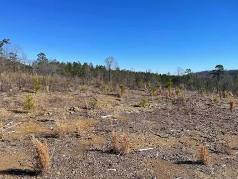 tbd Weyco Rd, Hatton, AR 71937 photo 6