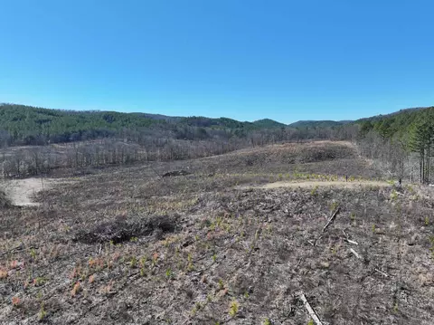 tbd Weyco Rd, Hatton, AR 71937 photo 22