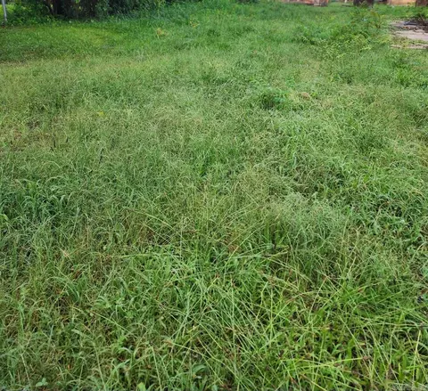 1101 S Tenth St, Mena, AR 71953 photo 6