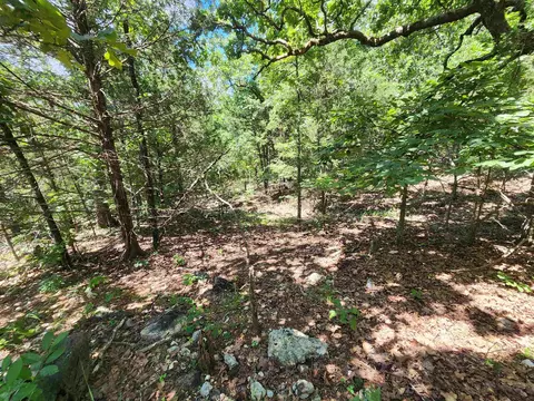 L35b2 Black Cloud Circle, Cherokee Village, AR 72529