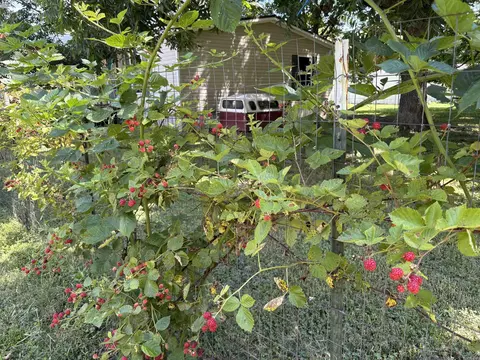 1014 S Third St, Judsonia, AR 72081 photo 7