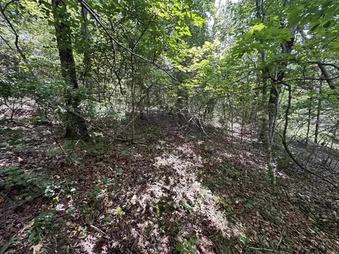 Hwy 9, Mountain View, AR 72533 photo 15