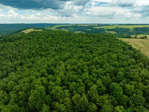 Hwy 9, Mountain View, AR 72533 photo 3