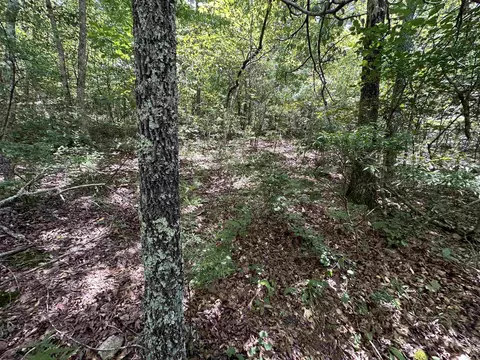 Hwy 9, Mountain View, AR 72533 photo 16