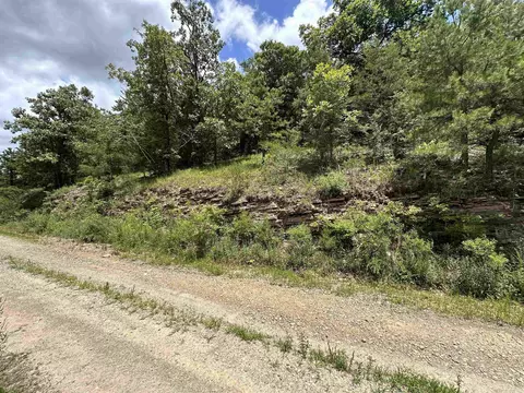 Hwy 9, Mountain View, AR 72533 photo 7