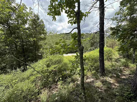 Hwy 9, Mountain View, AR 72533 photo 13