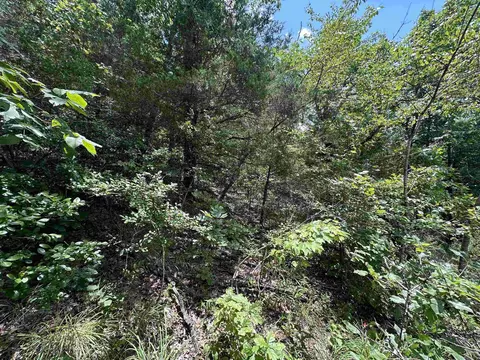 Hwy 9, Mountain View, AR 72533 photo 11
