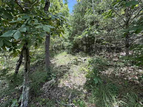 Hwy 9, Mountain View, AR 72533 photo 12